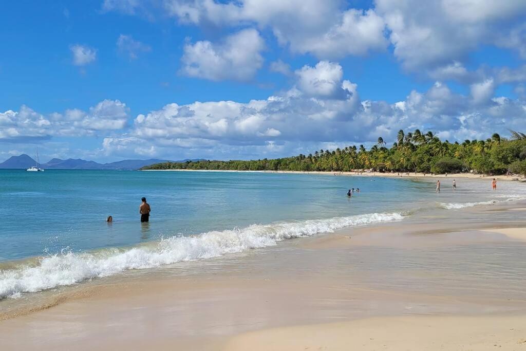 Ti-Ti Diamant Studio Plage Du Diamant 2 Pers Clim Wifi Le Diamant Eksteriør bilde
